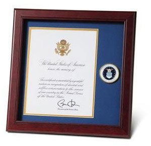 U.S. Air Force Medallion Presidential Memorial Certificate Frame